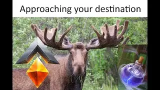 The Bazaar - Staff of the Moose.exe