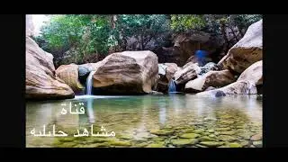 دوتو الفنان ابوسعود