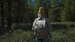 PEOPLE HIKING IN WOODS (FREE STOCK VIDEOS)