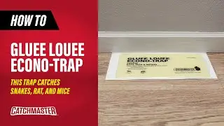 This Trap Catches Snakes, Rat, and Mice | Catchmaster Gluee Louee Heavy Duty Econo-Trap Glue Board