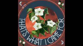 That's What I Came For - AFTM