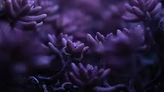 james blunt - you're beautiful (slowed)