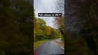 Dreamy fall colours in UK 🇬🇧 #fallvibes #autumn #trending #shorts #uk #londonlife