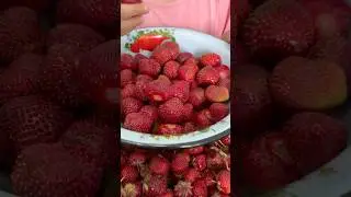 #жасмин #nastya  #копжасаровы #shortvideo #жасмин #тамикош #baby #cutebaby #shorts #tiktok#тренд2025