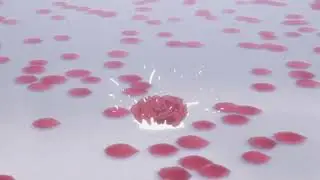 trapnest 'recorded butterflies' (olivia lufkin) slowed + reverb