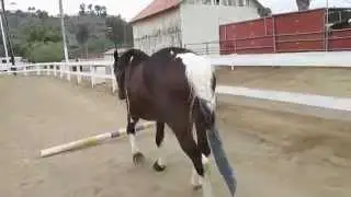 Training Liberty Jumping