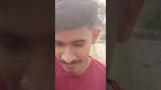 my fast bollg