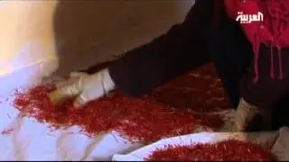Saffron: Morocco's mystic spice