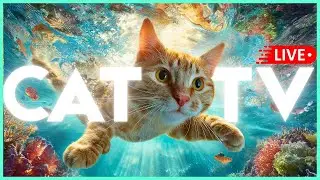 🔴 DEEP SLEEP Anti-Anxiety Music for Cats - Calming Lullaby 🐱🎼