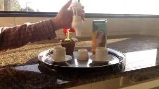A&ccedil;ucareiro Pr&aacute;tico