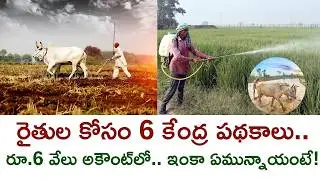 Top 6 Central Govt Schemes For Farmers | PM Kisan ₹6000 & More Explained
