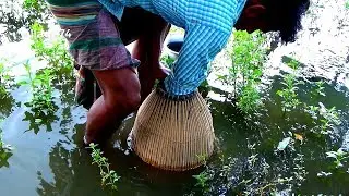 Unique Fishing System।Best Bamboo Fishing Trap in the village। fishing video (part-167)