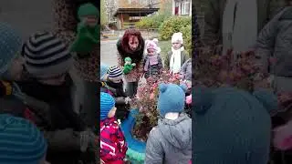 VID 20171026 114108
