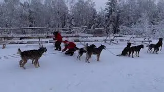 Yellowknife Vlog 옐로나이프 브이로그