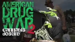 AMERICAN DRUG WAR 2: Cannabis Destiny  (30 second trailer)