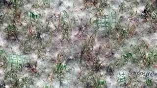 Sea Sequence 360 Aphantasia