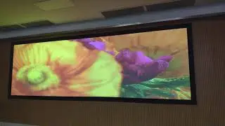DHN Laser Projectors for Conference Room Projection| DHN Laser Projector