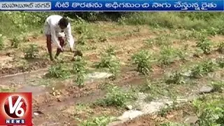 Farmer Net Profits With Vegetable Farming | Mahabubnagar Farmer Success Story | V6 News