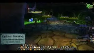 New lvl 90 Paladin Talent : Light's Hammer