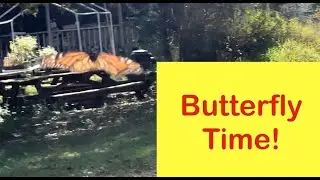 Highlights from Bio Blitz Butterfly Hike 🦋 12/9/23