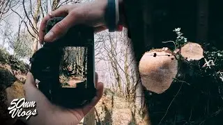 POV GOLDEN HOUR Photography! // FotoVlog #2 (RURAL POV Photography)
