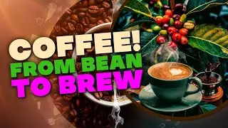 The Fascinating Science of Coffee: From Bean to Brew | Sci Discovery Chronicles