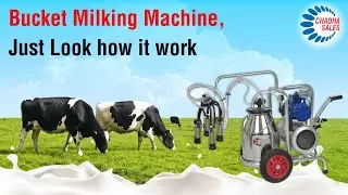 milk nikalne ki machine. Bucket Milking Machine.