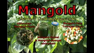 Mangold jetzt noch säen - meine 3 Lieblings-Rezepte