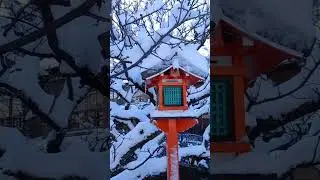 Snow Scene @ Gion Kyoto