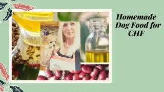 Homemade Dog Food for Congestive Heart Failure