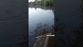 Мало не втопився на риболовлі#fishing#риболовля#shortsvideo#shorts#шортс#carpfishing#карп