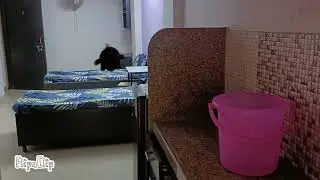 Worst video on internet 🥀
