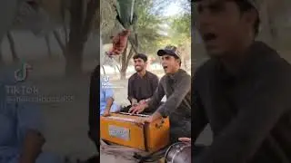 Balochi song / Balochi status / ustad taj baloch #shortsfeed #song #balochimusic