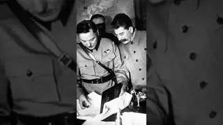 How did stalin reacted when hitler invaded soviet #adolfhitler #hitler #ww2videos #ww2 #venezuela#