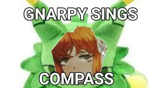 GNARPY SINGS COMPASS-MILI