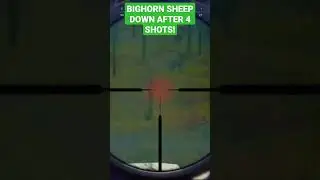 4 shots on this Huge Bighorn Sheep!! #shorts #hunting