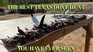LIMITED OUT in West Texas &mdash; 15 Doves! (Benelli SBE3 + ShotKam Gen4)