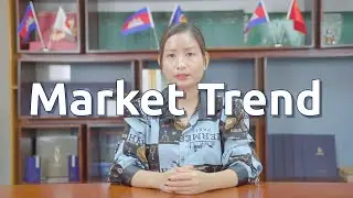 Market Trend
