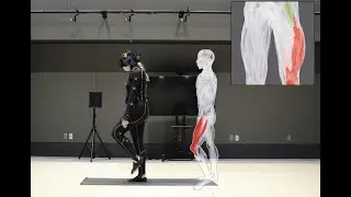 MIT system “sees” inner structure of the body during physical rehab