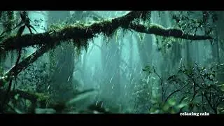 Caribbean Rainforest Under Torrential Rainstorm | Ultra Realistic 8K Nature Ambience