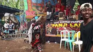 Tari rangde ful atraksi tusuk pakai keris jaranan Panji Laras 