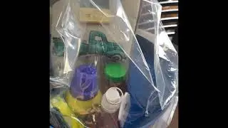 Move In Gifts at Diamond Forest Apartments!