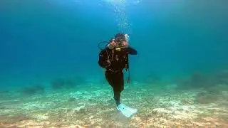 Fun Dive (Doljo Panglao Bohol)