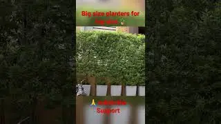 Big Big size PVC planters for big size plants, house decoration, plants 🪴 #shorts 🪴🪴🪴