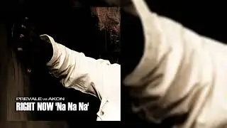 Prevale vs. Akon - Right Now ' Na Na Na ' ( Prevaloso Tanzen Mix )