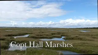 Copt Hall Marshes