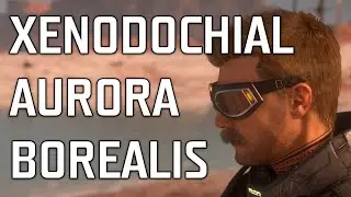 Star Citizen - Xenodochial Aurora Borealis