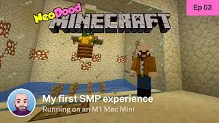 NeoDood SMP ep03 - Accelerating progress