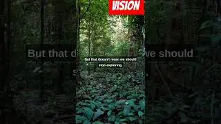 Discover the Hidden City in Amazon! || #mystery #question #unsolved #shorts ||