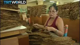 Cuban Economy: Storytellers read to Cuban cigar workers